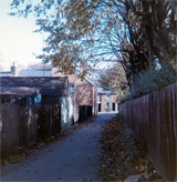P10677