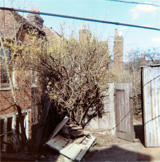P10711
