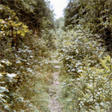 P10771