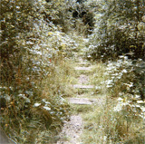 P10772