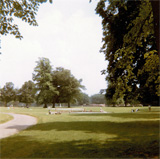 P10775