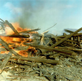 P10785