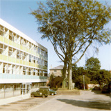 P10798