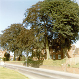 P10805