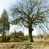 P10811